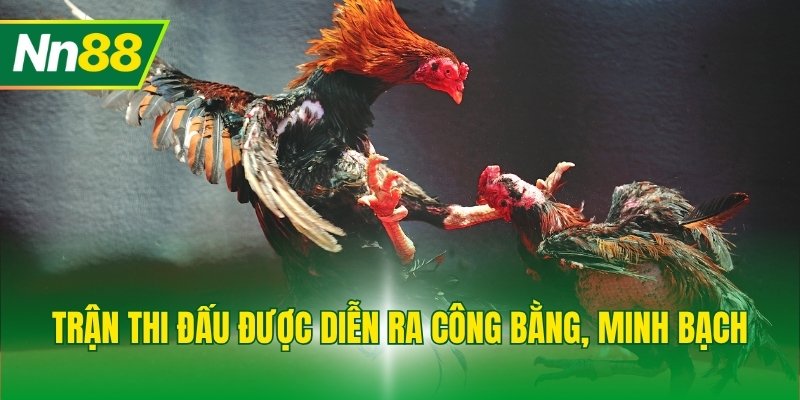 Trận thi đấu được diễn ra công bằng, minh bạch